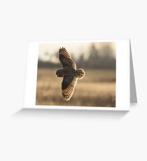 Shortie in Flight Greeting Card