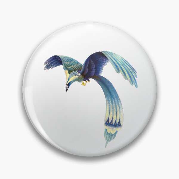 Item preview.