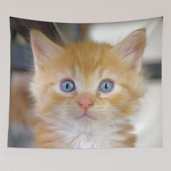 Item preview, Bright eyes designed and sold by Penny Kittel.