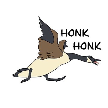 Angry Honking Goose
