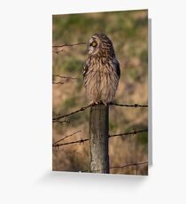 Just Waitin' On A Friend Greeting Card