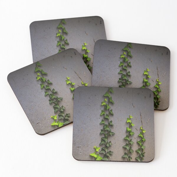 Item preview, Growing Vines designed and sold by ECPhotos.