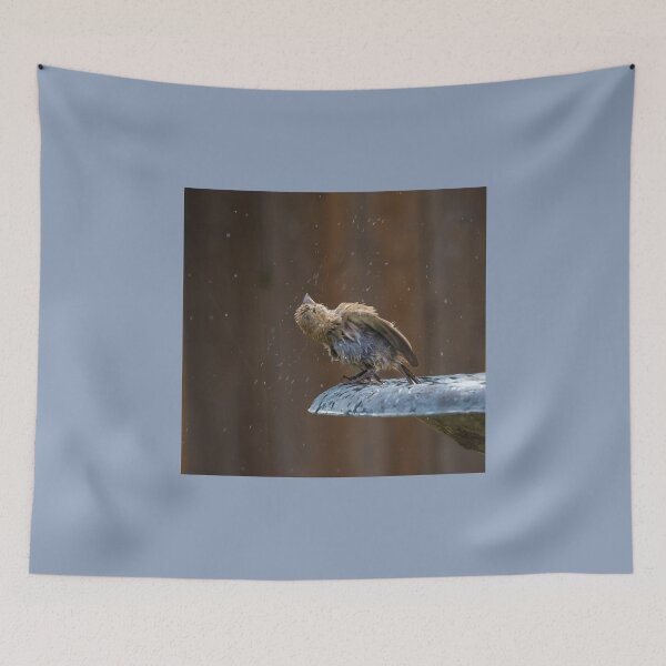 Item preview, Shake, Shake, Shake designed and sold by CarolM.