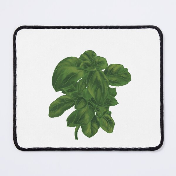 Item preview, Realistic Painted Basil Cutting designed and sold by Juliargw.