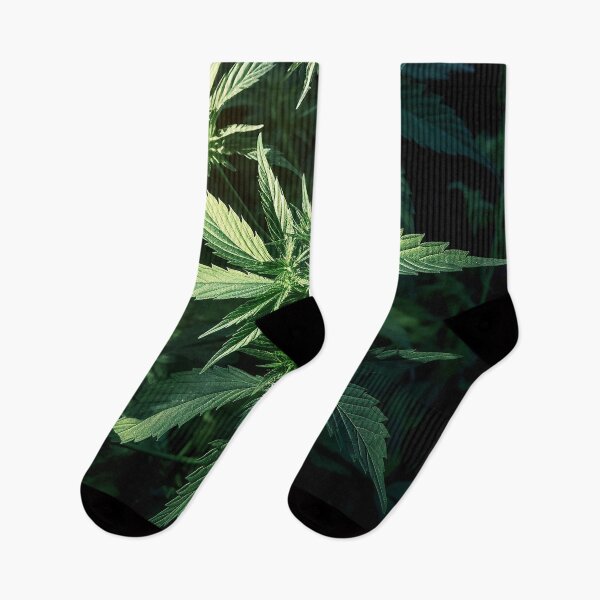 Artikelvorschau, Marihuana-Pflanze entworfen und verkauft von DigitizedArt.