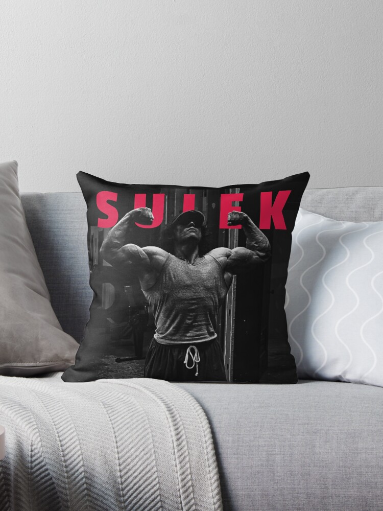 https://ih1.redbubble.net/image.5281974734.3364/throwpillow,small,750x1000-bg,f8f8f8.jpg