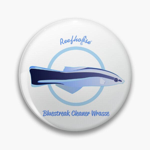 Item preview, Bluestreak Cleaner Wrasse designed and sold by KaplanCrypto.