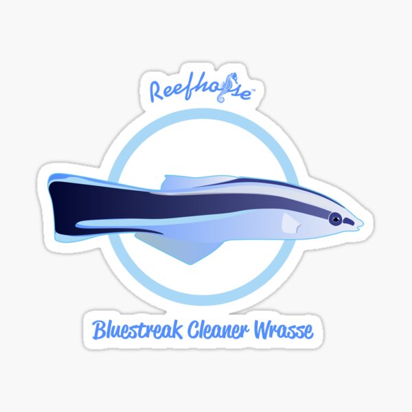 Aquarium Cleaners Stickers for Sale