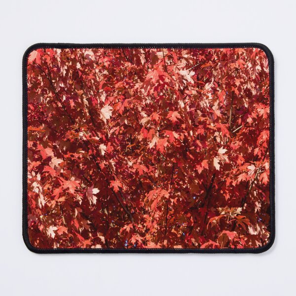 Item preview, Brilliant Canadian Autumn Under a Maple Tree designed and sold by Georgia Mizuleva.