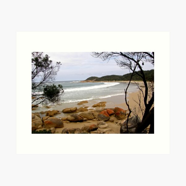 Item preview, A Memorable Coastline, Croajingolong National Park  designed and sold by Patty Lewis.