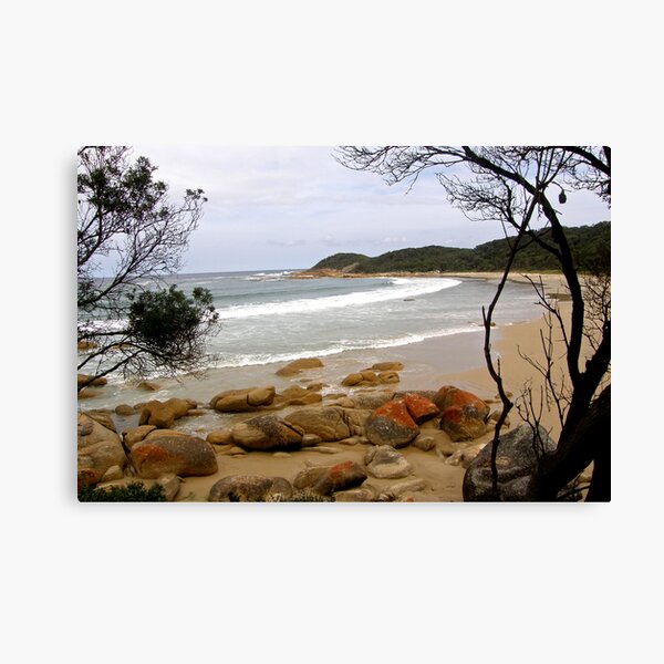 Item preview, A Memorable Coastline, Croajingolong National Park  designed and sold by Patty Lewis.
