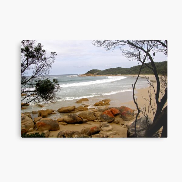 A Memorable Coastline, Croajingolong National Park Metal Print