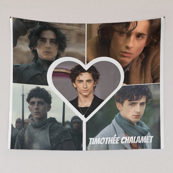 Item preview, timothée chalamet,  little women designed and sold by Kiara3000.