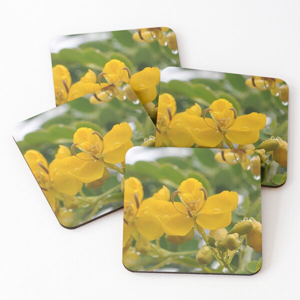 Item preview, Lovely sunny yellow flowers of the Valamuerto Tree designed and sold by IPPhotography.