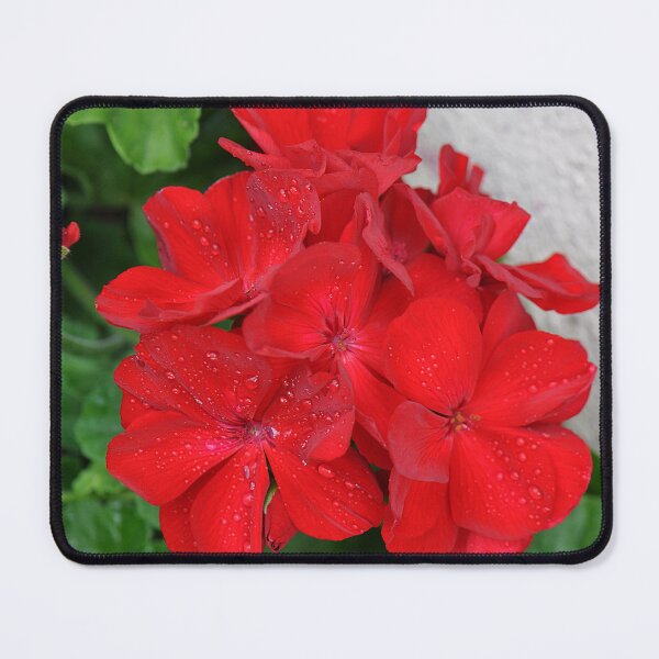 Item preview, Scarlet Geranium Red Flowers designed and sold by IPPhotography.