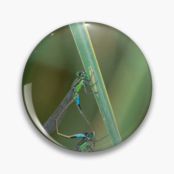 Item preview, Damselfly duet  designed and sold by Ruth Jolly.