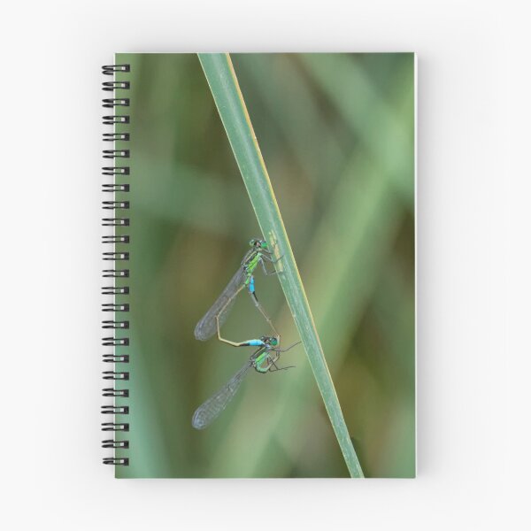 Item preview, Damselfly duet  designed and sold by Ruth Jolly.