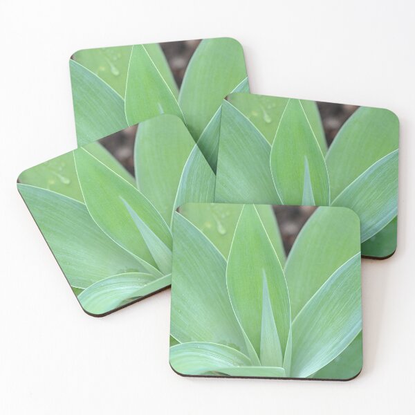 Item preview, Foxtail Agave Plant Closeup designed and sold by IPPhotography.
