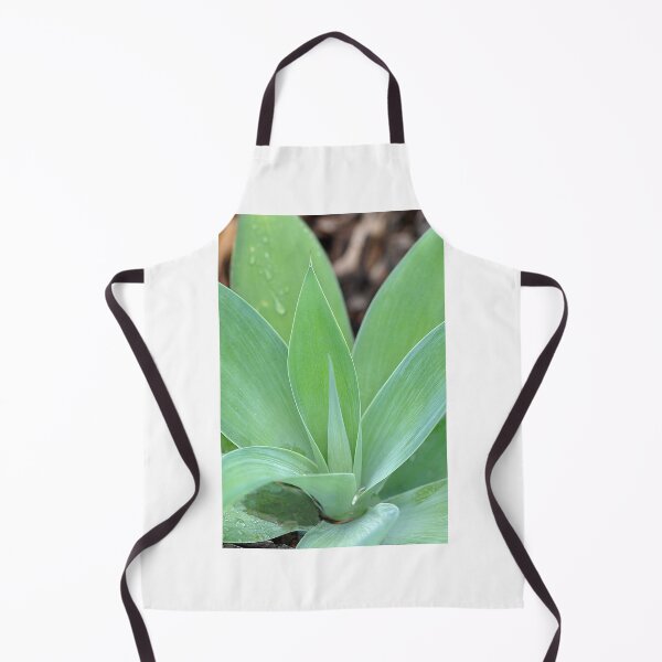 Item preview, Foxtail Agave Plant Closeup designed and sold by IPPhotography.
