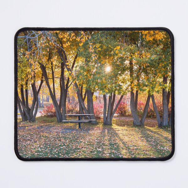 Item preview, Picnic Table in the Autumn Woods at Sunset designed and sold by Amy Mitchell.