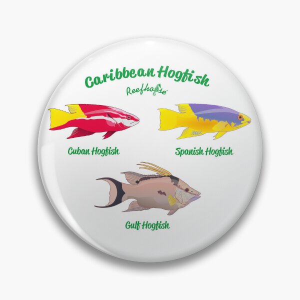Item preview, Caribbean Hogfish designed and sold by KaplanCrypto.