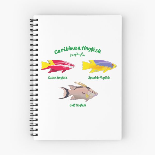 Item preview, Caribbean Hogfish designed and sold by KaplanCrypto.