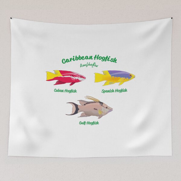 Item preview, Caribbean Hogfish designed and sold by KaplanCrypto.