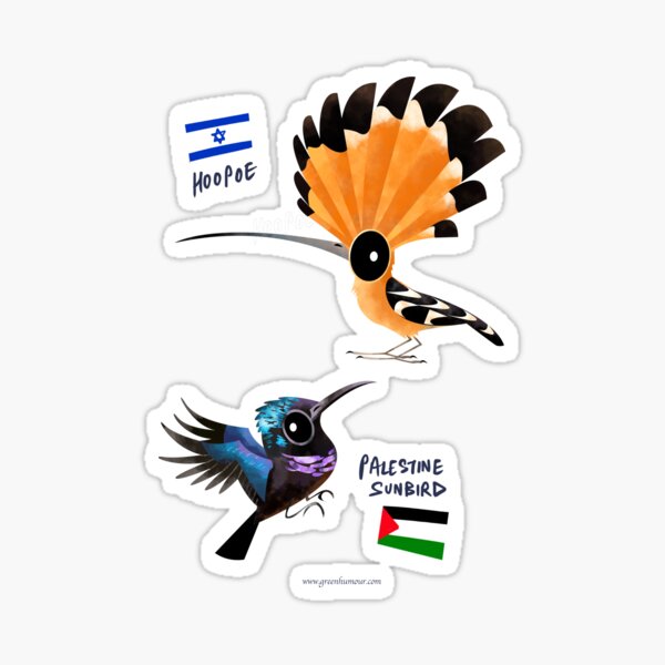 Israel and Palestine National Birds Sticker