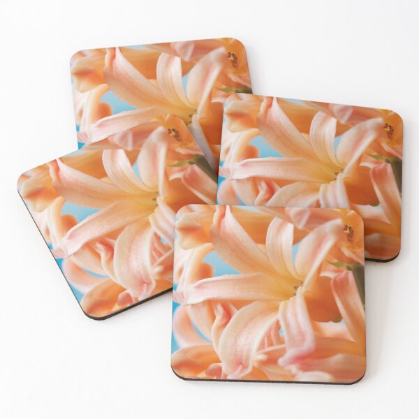 Item preview, Hyacinthus orientalis  'Gipsy Queen'  Hyacinth  designed and sold by Chris Burrows.