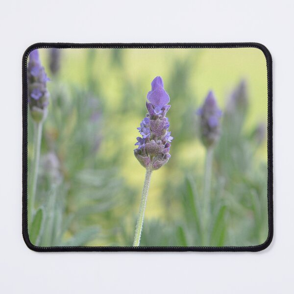 Item preview, French Lavender Purple Flowers designed and sold by IPPhotography.