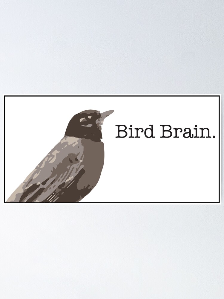 Thumbnail 1 of 3, Poster, Bird Brain. designed and sold by Corner-Distro.