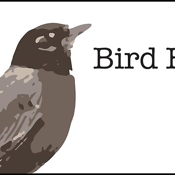 Artwork thumbnail, Bird Brain. by Corner-Distro