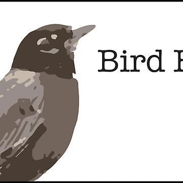 Artwork thumbnail, Bird Brain. by Corner-Distro