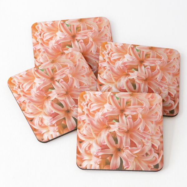 Item preview, Hyacinthus orientalis  'Gipsy Queen'  Hyacinth designed and sold by Chris Burrows.