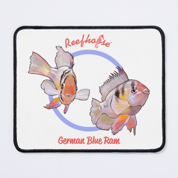 Item preview, German Blue Ram designed and sold by KaplanCrypto.