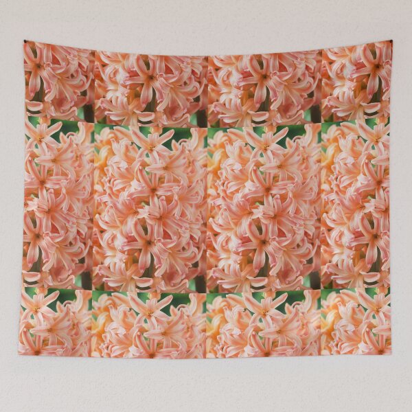 Item preview, Hyacinthus orientalis 'Gipsy Queen' Hyacinth designed and sold by Chris Burrows.