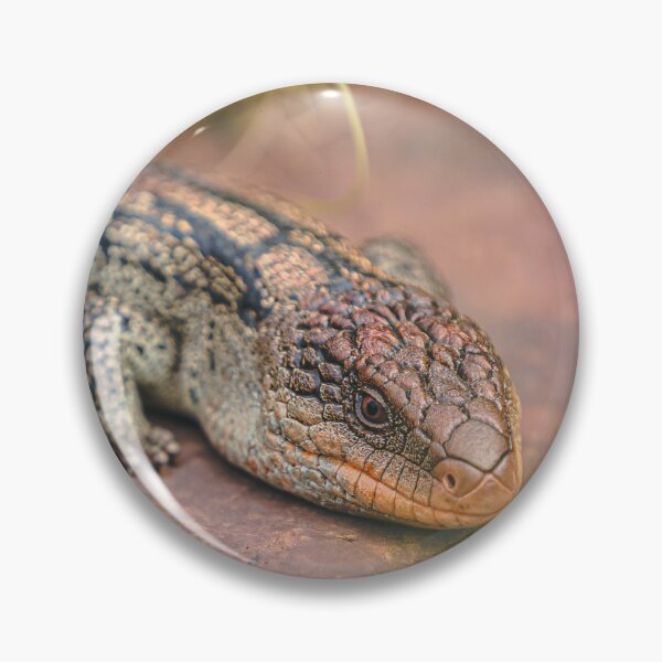 Item preview, Jeffords - Blotched Blue Tongue designed and sold by AdventureUnlockedCo.
