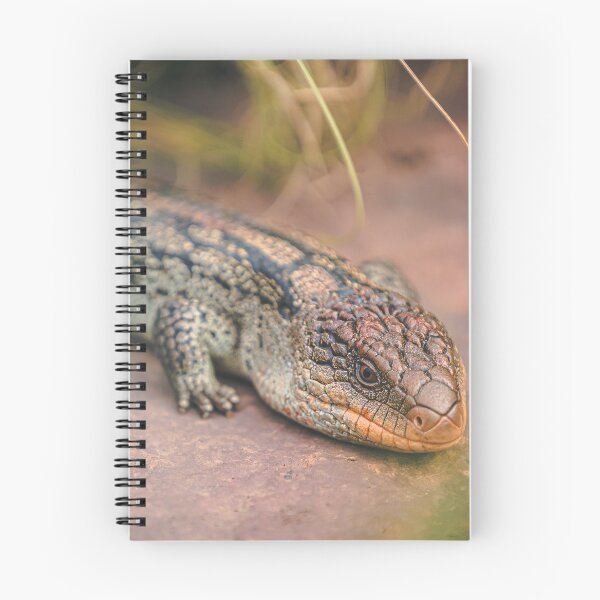 Item preview, Jeffords - Blotched Blue Tongue designed and sold by AdventureUnlockedCo.