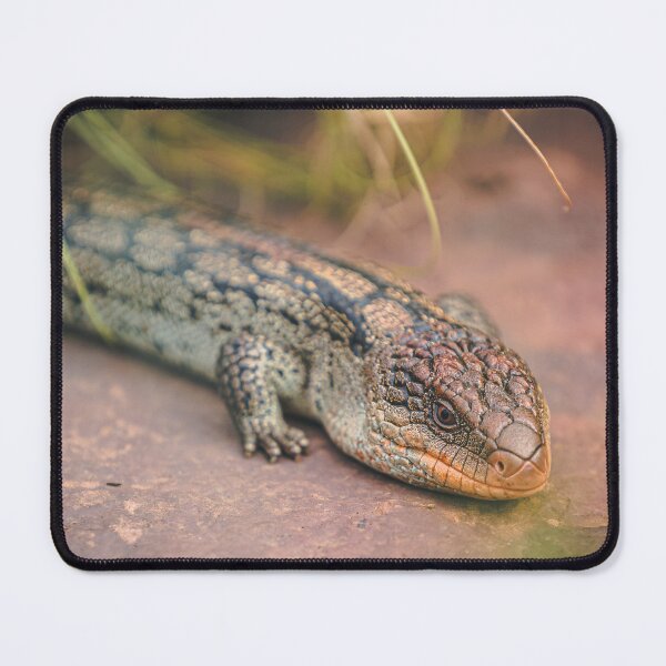 Item preview, Jeffords - Blotched Blue Tongue designed and sold by AdventureUnlockedCo.