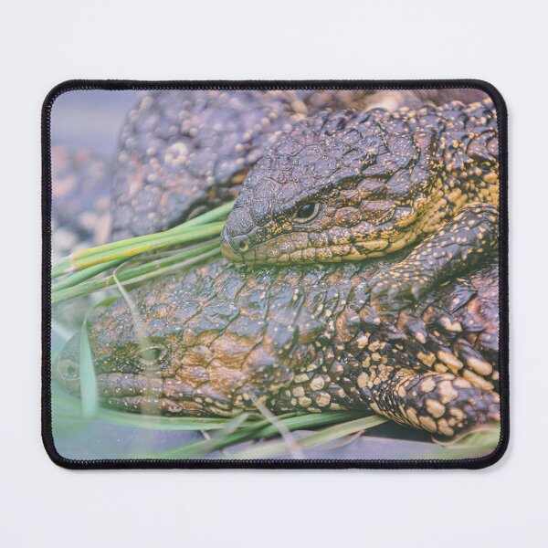 Item preview, Scully & Hitchcock 1 - Shingle Backs designed and sold by AdventureUnlockedCo.
