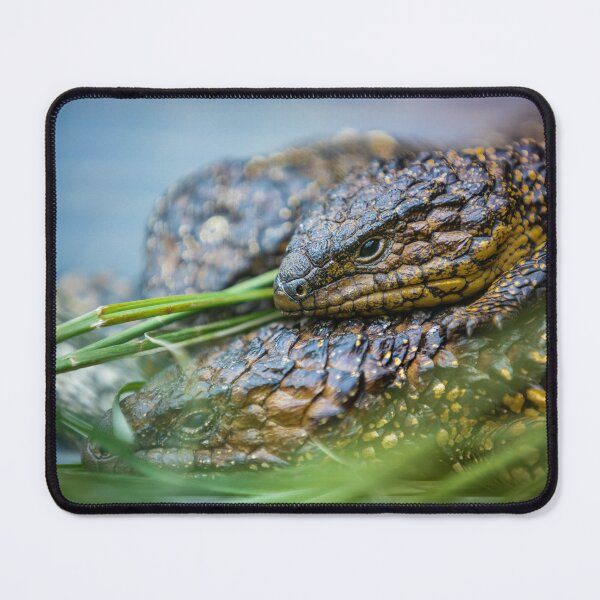 Item preview, Scully & Hitchcock 2 - Shingle Backs designed and sold by AdventureUnlockedCo.