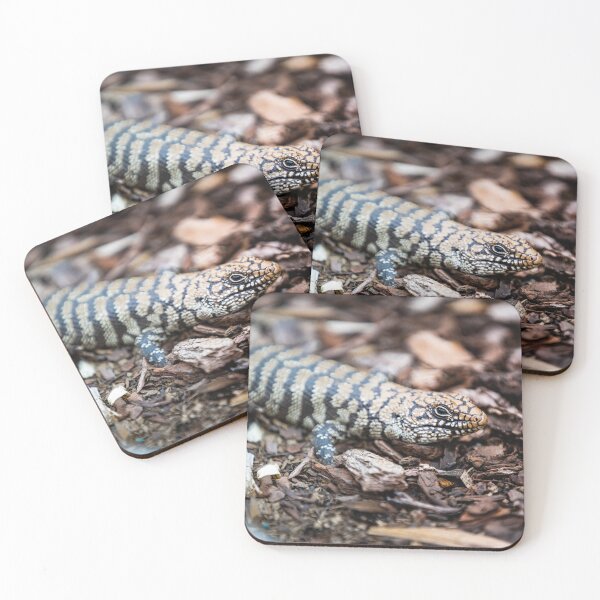 Item preview, Boyle 1 - Cunningham Skink designed and sold by AdventureUnlockedCo.