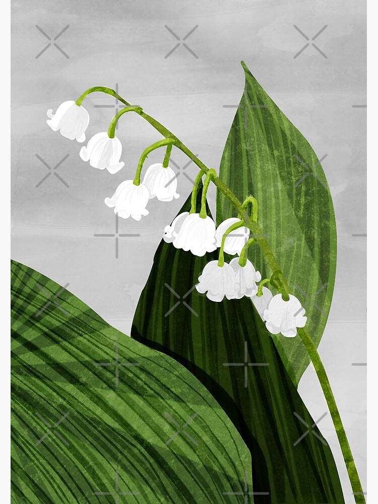 Lily of the Valley Art Print, Made in the USA