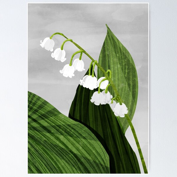 Lily of the valley манхва