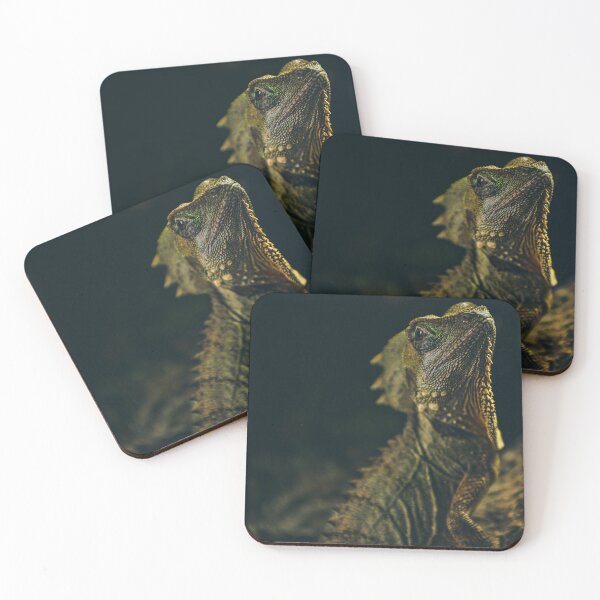 Item preview, Peralta 1 - Boyds Forrest Dragon designed and sold by AdventureUnlockedCo.