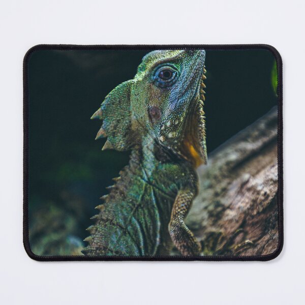 Item preview, Peralta 2 - Boyds Forrest Dragon designed and sold by AdventureUnlockedCo.