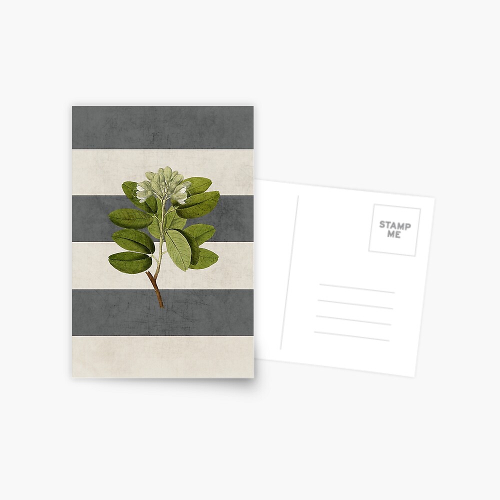Item preview, Postcard designed and sold by beverlylefevre.