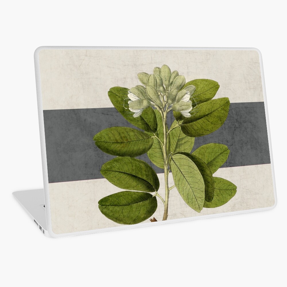 Item preview, Laptop Skin designed and sold by beverlylefevre.