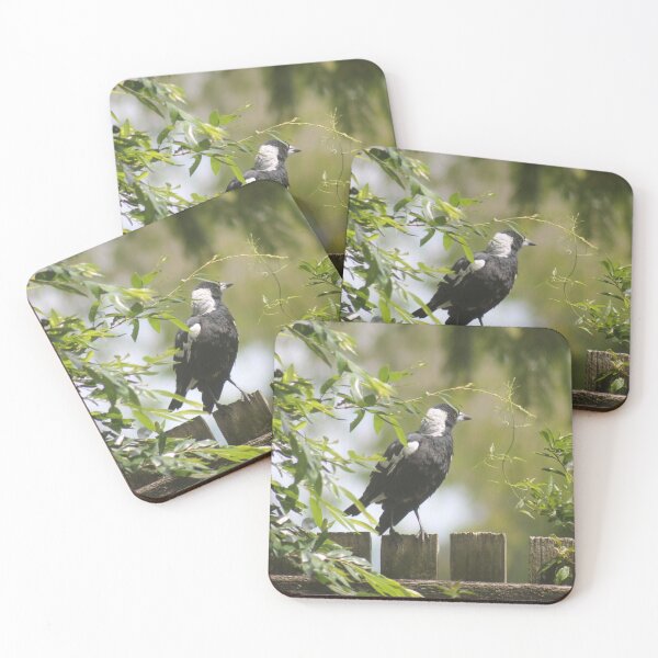 Item preview, Bird on the Fence designed and sold by Daria Bramley.
