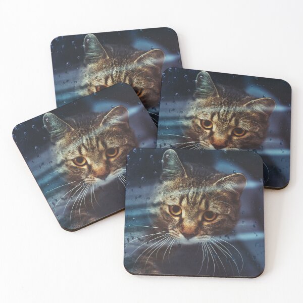 Item preview, Beautiful cat in the car designed and sold by stevanovicigor.
